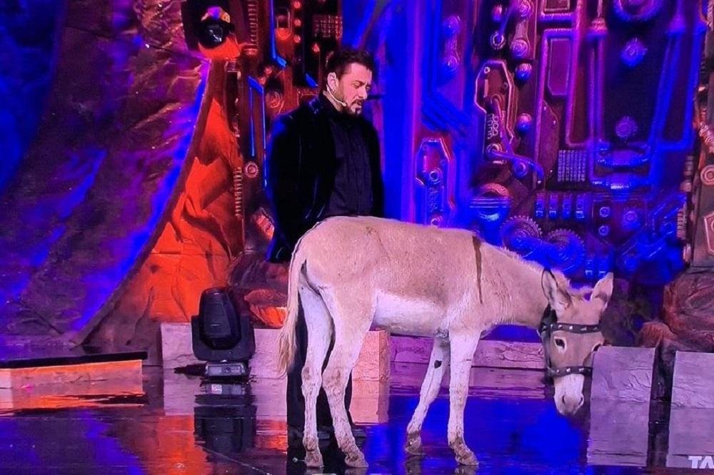 Donkey Gadhraj in Bigg Boss House